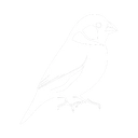 Darkfinch